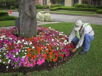 seasonal flowers installation Savannah, GA