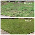 Lawn renovation in Savannah GA