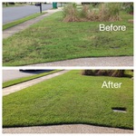 Lawn renovation in Savannah GA
